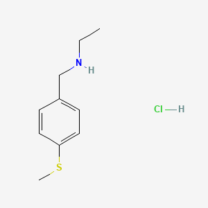 molecular formula C10H16ClNS B3078143 N-[4-(Methylthio)benzyl]ethanamine hydrochloride CAS No. 1049773-81-0