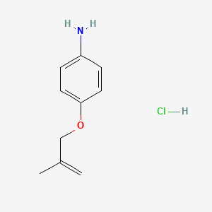 molecular formula C10H14ClNO B3078179 {4-[(2-Methyl-2-propen-1-yl)oxy]phenyl}amine hydrochloride CAS No. 1049787-10-1