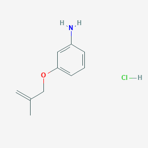 molecular formula C10H14ClNO B3078190 3-[(2-甲基-2-增丙基)氧基]苯胺盐酸盐 CAS No. 1049789-51-6