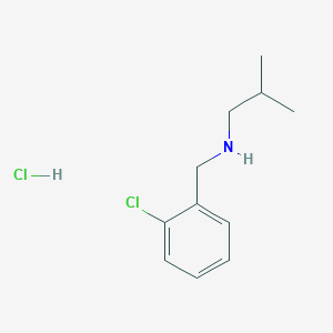 molecular formula C11H17Cl2N B3078235 N-(2-Chlorobenzyl)-2-methyl-1-propanamine hydrochloride CAS No. 1050076-04-4