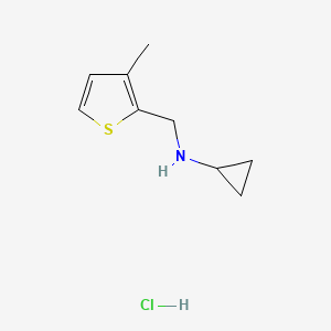 molecular formula C9H14ClNS B3078291 盐酸N-[(3-甲基-2-噻吩基)甲基]环丙胺 CAS No. 1050214-58-8