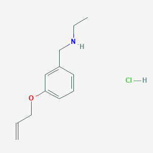molecular formula C12H18ClNO B3078329 N-[3-(Allyloxy)benzyl]ethanamine hydrochloride CAS No. 1050483-95-8