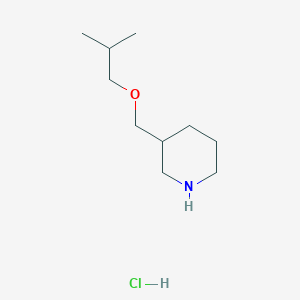 molecular formula C10H22ClNO B3078351 (Isobutoxymethyl)piperidine hydrochloride CAS No. 1050509-46-0
