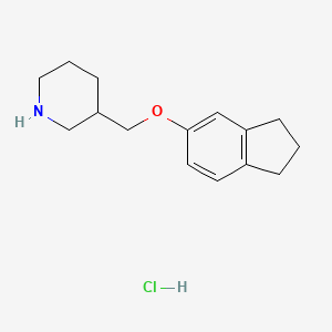 molecular formula C15H22ClNO B3078366 3-[(2,3-Dihydro-1H-inden-5-yloxy)methyl]piperidine hydrochloride CAS No. 1050509-49-3