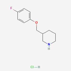molecular formula C12H17ClFNO B3078368 3-[(4-Fluorophenoxy)methyl]piperidine hydrochloride CAS No. 1050509-50-6