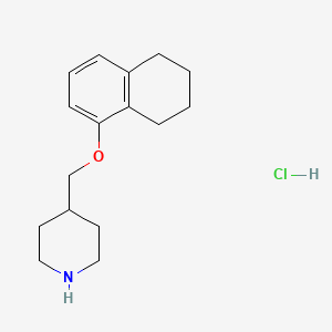 molecular formula C16H24ClNO B3078375 4-[(5,6,7,8-Tetrahydro-1-naphthalenyloxy)-methyl]piperidine hydrochloride CAS No. 1050509-59-5