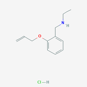 molecular formula C12H18ClNO B3078402 N-[2-(烯丙氧基)苄基]乙胺盐酸盐 CAS No. 1050591-21-3