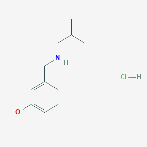molecular formula C12H20ClNO B3078417 N-(3-Methoxybenzyl)-2-methyl-1-propanamine hydrochloride CAS No. 1051363-49-5