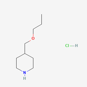 molecular formula C9H20ClNO B3078502 4-(丙氧甲基)哌啶盐酸盐 CAS No. 1051919-40-4