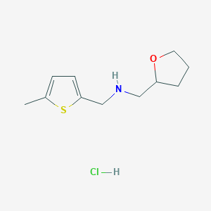 molecular formula C11H18ClNOS B3078552 (5-Methyl-thiophen-2-ylmethyl)-(tetrahydro-furan-2-ylmethyl)-amine hydrochloride CAS No. 1052519-53-5