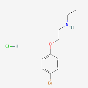 molecular formula C10H15BrClNO B3078563 [2-(4-Bromophenoxy)ethyl]ethylamine hydrochloride CAS No. 1052525-13-9