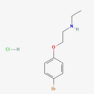 molecular formula C10H15BrClNO B3078563 盐酸 [2-(4-溴苯氧基)乙基]乙胺 CAS No. 1052525-13-9