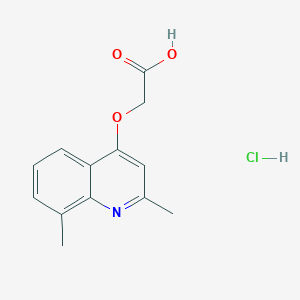 molecular formula C13H14ClNO3 B3078598 (2,8-Dimethyl-quinolin-4-yloxy)-acetic acid hydrochloride CAS No. 1052529-90-4