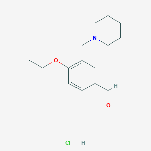 molecular formula C15H22ClNO2 B3078619 4-Ethoxy-3-piperidin-1-ylmethyl-benzaldehyde hydrochloride CAS No. 1052535-71-3