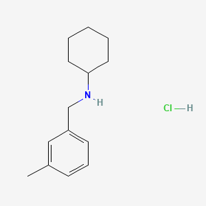 molecular formula C14H22ClN B3078784 N-(3-Methylbenzyl)cyclohexanamine hydrochloride CAS No. 1054552-66-7