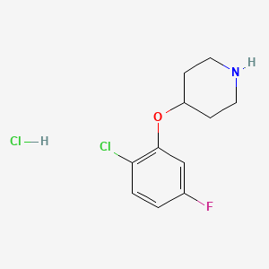molecular formula C11H14Cl2FNO B3079003 4-(2-氯-5-氟苯氧基)-哌啶盐酸盐 CAS No. 1058702-86-5