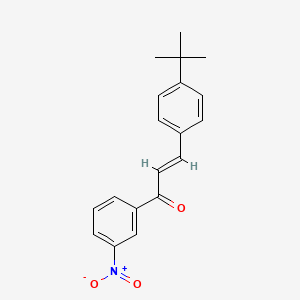 molecular formula C19H19NO3 B3079172 (2E)-3-(4-叔丁基苯基)-1-(3-硝基苯基)丙-2-烯-1-酮 CAS No. 1061636-59-6