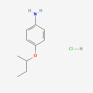 molecular formula C10H16ClNO B3080586 (4-Sec-butoxyphenyl)amine hydrochloride CAS No. 1087751-49-2