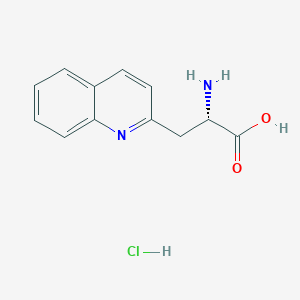 molecular formula C12H13ClN2O2 B3080590 (S)-2-Amino-3-(quinolin-2-yl)propanoicacidhydrochloride CAS No. 1087751-63-0