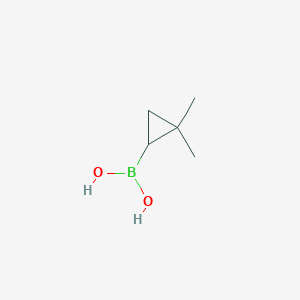 molecular formula C5H11BO2 B3080669 (2,2-二甲基环丙基)硼酸 CAS No. 1089708-34-8