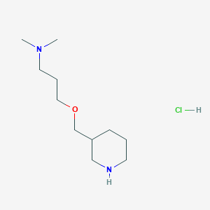 molecular formula C11H25ClN2O B3080940 N,N-二甲基-3-(3-哌啶基甲氧基)-1-丙胺盐酸盐 CAS No. 1093653-08-7