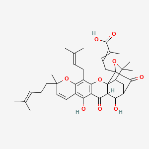 molecular formula C38H46O9 B3081208 9R-10alpha-Hydroxyepigambogic acid CAS No. 1097882-33-1