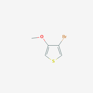 molecular formula C5H5BrOS B3081600 3-溴-4-甲氧基噻吩 CAS No. 110545-69-2