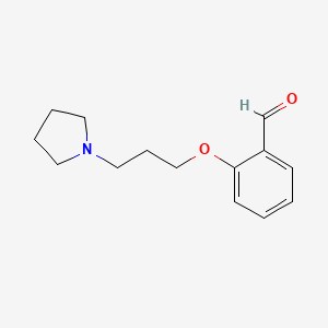 molecular formula C14H19NO2 B3082439 2-(3-吡咯烷-1-基-丙氧基)-苯甲醛 CAS No. 112562-62-6