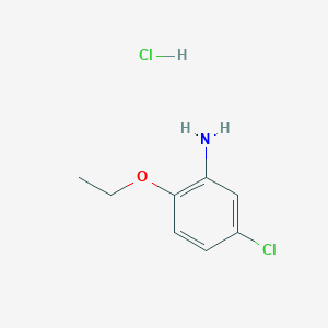 molecular formula C8H11Cl2NO B3082938 5-Chloro-2-ethoxyaniline hydrochloride CAS No. 1135081-59-2