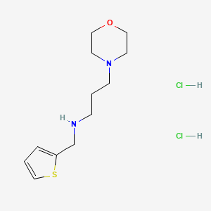 molecular formula C12H22Cl2N2OS B3084974 (3-Morpholin-4-YL-propyl)-thiophen-2-ylmethyl-amine dihydrochloride CAS No. 1147190-90-6