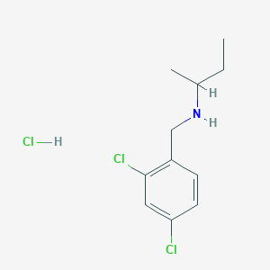 molecular formula C11H16Cl3N B3085589 (Butan-2-yl)[(2,4-dichlorophenyl)methyl]amine hydrochloride CAS No. 1158204-13-7