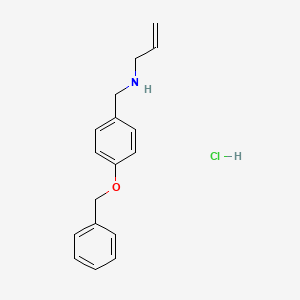 molecular formula C17H20ClNO B3085615 {[4-(Benzyloxy)phenyl]methyl}(prop-2-en-1-yl)amine hydrochloride CAS No. 1158214-45-9