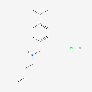 molecular formula C14H24ClN B3085642 Butyl({[4-(propan-2-yl)phenyl]methyl})amine hydrochloride CAS No. 1158232-13-3