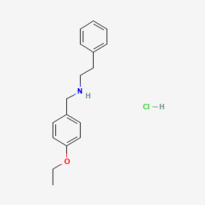 molecular formula C17H22ClNO B3085659 (4-Ethoxy-benzyl)-phenethyl-amine hydrochloride CAS No. 1158242-01-3