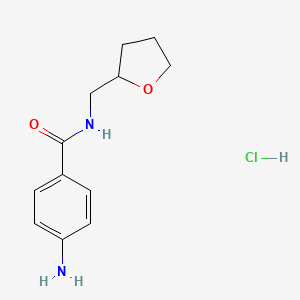 molecular formula C12H17ClN2O2 B3085661 4-氨基-N-(四氢-2-呋喃基甲基)苯甲酰胺盐酸盐 CAS No. 1158242-72-8