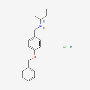 molecular formula C18H24ClNO B3085706 {[4-(苄氧基)苯基]甲基}(丁烷-2-基)胺盐酸盐 CAS No. 1158273-26-7