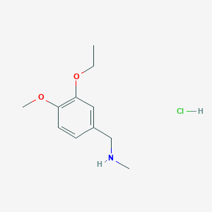 molecular formula C11H18ClNO2 B3085716 (3-Ethoxy-4-methoxybenzyl)methylamine hydrochloride CAS No. 1158287-40-1