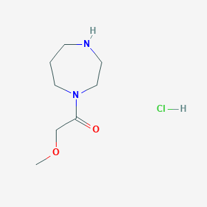 molecular formula C8H17ClN2O2 B3085729 1-(甲氧基乙酰基)-1,4-二氮杂环戊烷盐酸盐 CAS No. 1158294-49-5