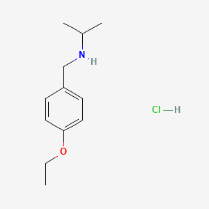 molecular formula C12H20ClNO B3085782 [(4-Ethoxyphenyl)methyl](propan-2-yl)amine hydrochloride CAS No. 1158312-15-2