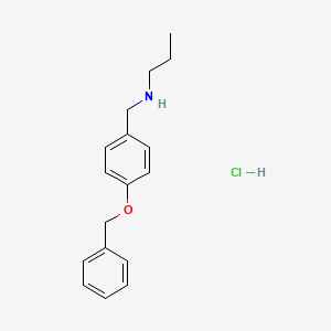 molecular formula C17H22ClNO B3085843 盐酸{[4-(苄氧基)苯基]甲基}(丙基)胺 CAS No. 1158342-79-0