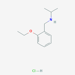 molecular formula C12H20ClNO B3085882 盐酸[(2-乙氧苯基)甲基](丙-2-基)胺 CAS No. 1158366-13-2