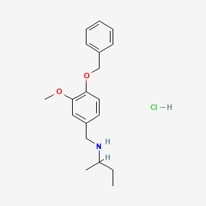 molecular formula C19H26ClNO2 B3085927 {[4-(Benzyloxy)-3-methoxyphenyl]methyl}(butan-2-yl)amine hydrochloride CAS No. 1158390-87-4