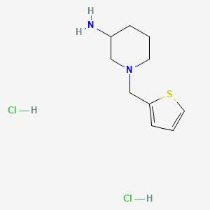 molecular formula C10H18Cl2N2S B3085982 1-(2-Thienylmethyl)piperidin-3-amine dihydrochloride CAS No. 1158412-19-1
