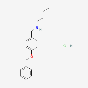 molecular formula C18H24ClNO B3085992 {[4-(Benzyloxy)phenyl]methyl}(butyl)amine hydrochloride CAS No. 1158417-32-3