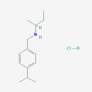 (Butan-2-yl)({[4-(propan-2-yl)phenyl]methyl})amine hydrochloride