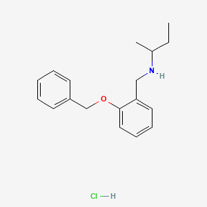 B3086122 {[2-(Benzyloxy)phenyl]methyl}(butan-2-yl)amine hydrochloride CAS No. 1158499-08-1