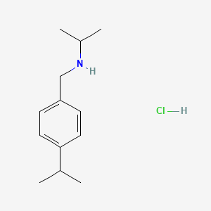molecular formula C13H22ClN B3086154 (丙-2-基)({[4-(丙-2-基)苯基]甲基})胺盐酸盐 CAS No. 1158543-35-1