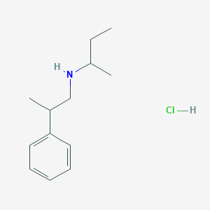 molecular formula C13H22ClN B3086218 (丁-2-基)(2-苯基丙基)胺盐酸盐 CAS No. 1158592-60-9