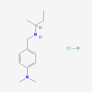 molecular formula C13H23ClN2 B3086336 4-{[(丁烷-2-基)氨基]甲基}-N,N-二甲基苯胺盐酸盐 CAS No. 1158741-85-5
