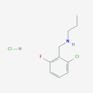 molecular formula C10H14Cl2FN B3086387 [(2-Chloro-6-fluorophenyl)methyl](propyl)amine hydrochloride CAS No. 1158771-51-7